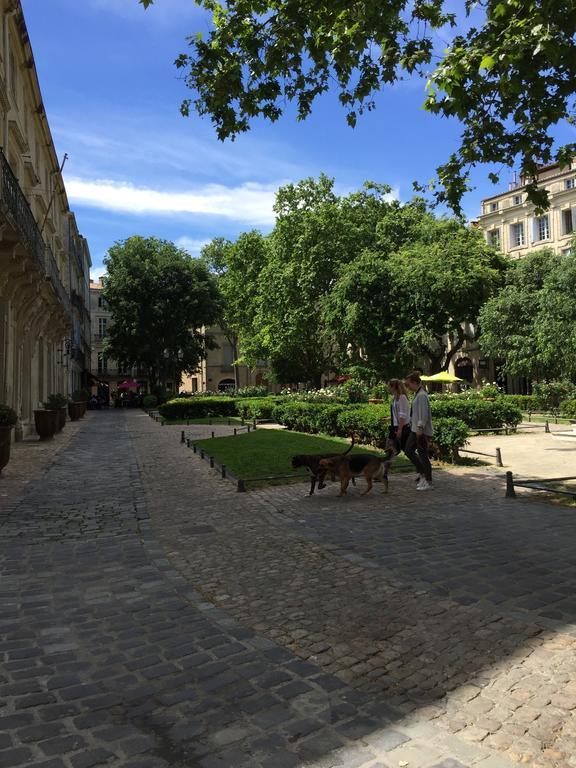Appartement Vieille Intendance Montpellier Esterno foto